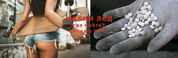ешки Бородино