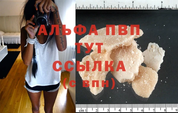 ешки Бородино