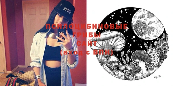 ешки Бородино