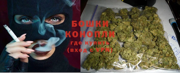 ешки Бородино
